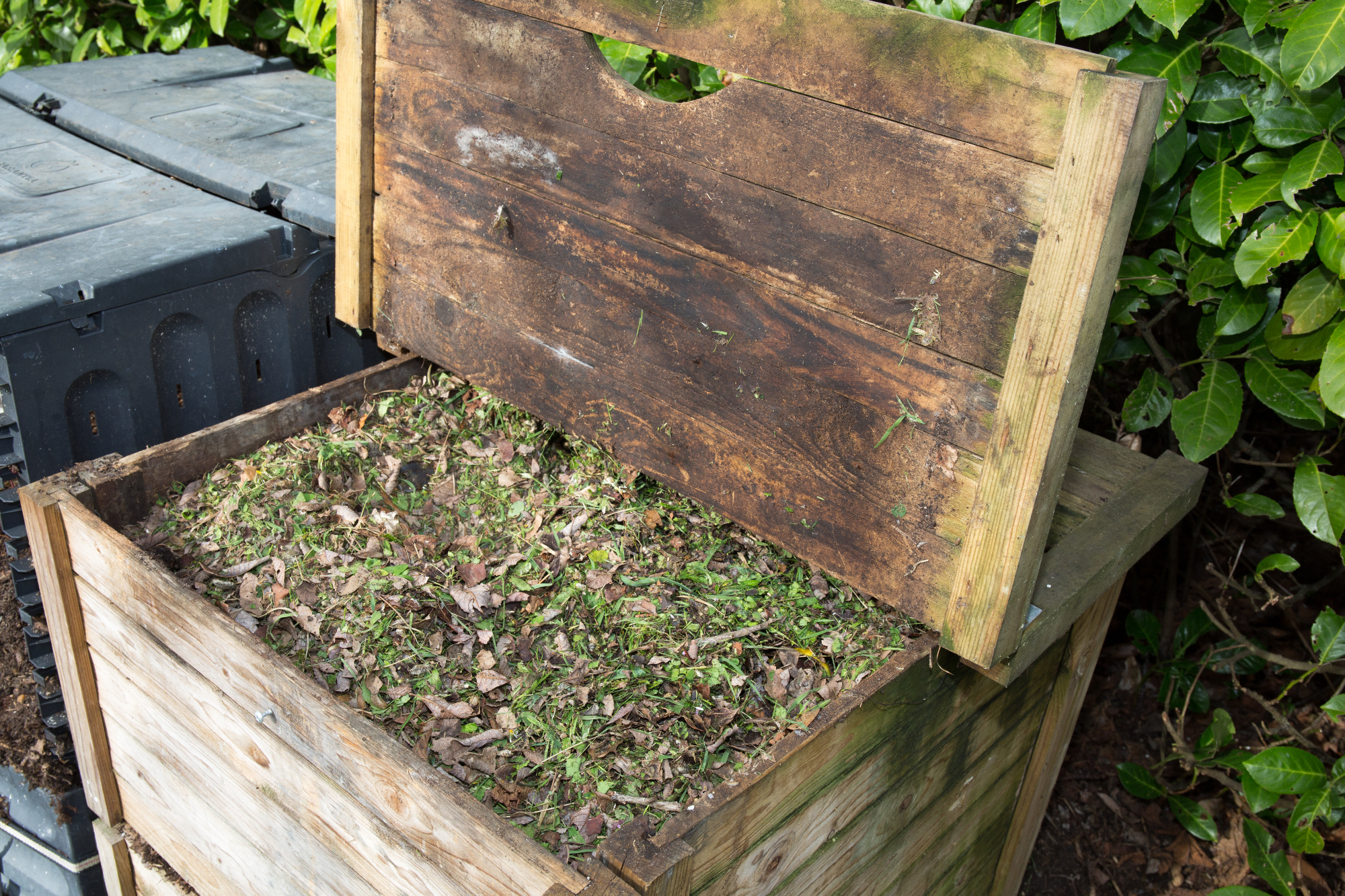 Prednosti, ki jih imajo kompostniki za zeleno rešitev